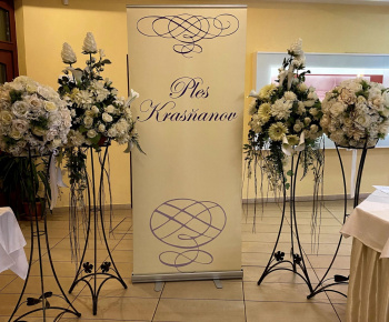 6. Ples Krásňanov