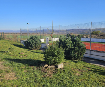 Výsadba na cintoríne a na ihrisku Na Hore