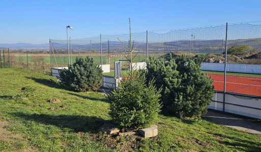 Výsadba na cintoríne a na ihrisku Na Hore 