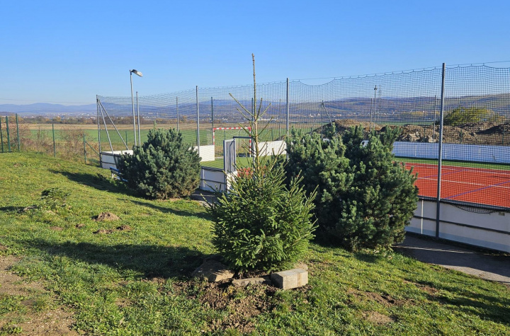 Výsadba na cintoríne a na ihrisku Na Hore