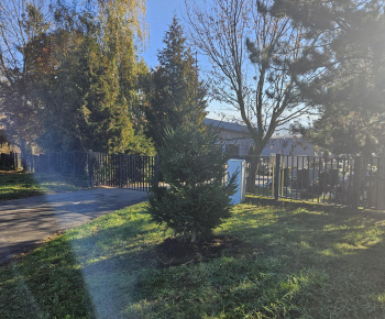 Výsadba na cintoríne a na ihrisku Na Hore