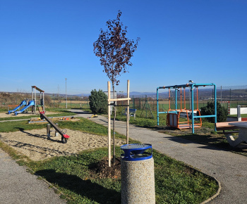 Výsadba na cintoríne a na ihrisku Na Hore