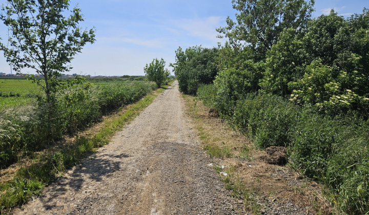 1. fotografia fotogalérie Cesta K Hutke