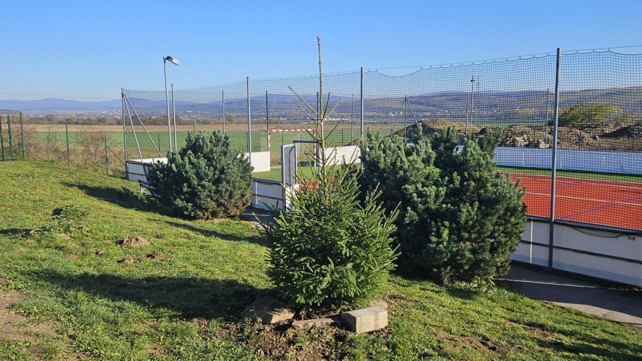 Fotografia fotogalérie Výsadba na cintoríne a na ihrisku Na Hore