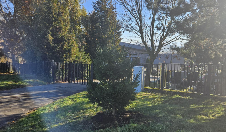 2. fotografia fotogalérie Výsadba na cintoríne a na ihrisku Na Hore