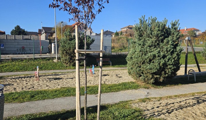 3. fotografia fotogalérie Výsadba na cintoríne a na ihrisku Na Hore