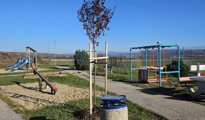 4. fotografia fotogalérie Výsadba na cintoríne a na ihrisku Na Hore