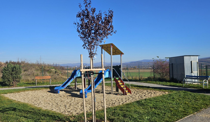 5. fotografia fotogalérie Výsadba na cintoríne a na ihrisku Na Hore