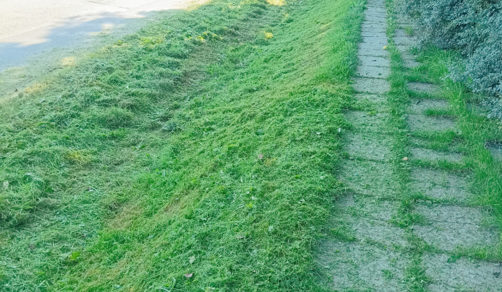 2. fotografia fotogalérie Práce vykonávané v MČ Košice-Krásna 