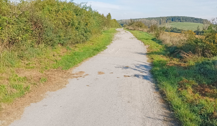 9. fotografia fotogalérie Práce vykonávané v MČ Košice-Krásna 