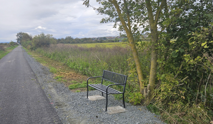 11. fotografia fotogalérie Premena miestnej komunikácie na športovo-rekreačnú zónu - ulica K Hutke
