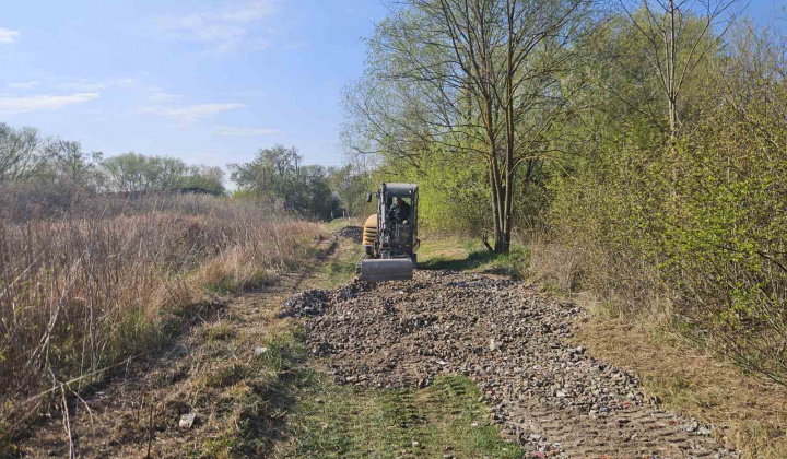 11. fotografia fotogalérie Aktuality / nový článok - foto