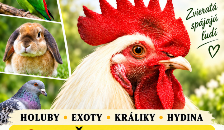 1. fotografia fotogalérie Aktuality / Regionálna výstava zvierat - foto