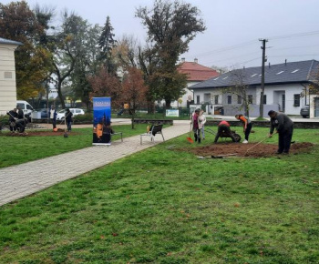 Výsadba pred kaštieľom a DS Barón