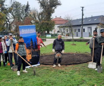 Výsadba pred kaštieľom a DS Barón