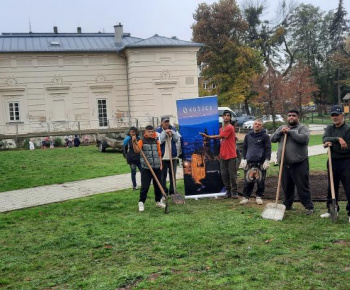 Výsadba pred kaštieľom a DS Barón