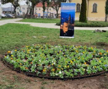 Výsadba pred kaštieľom a DS Barón